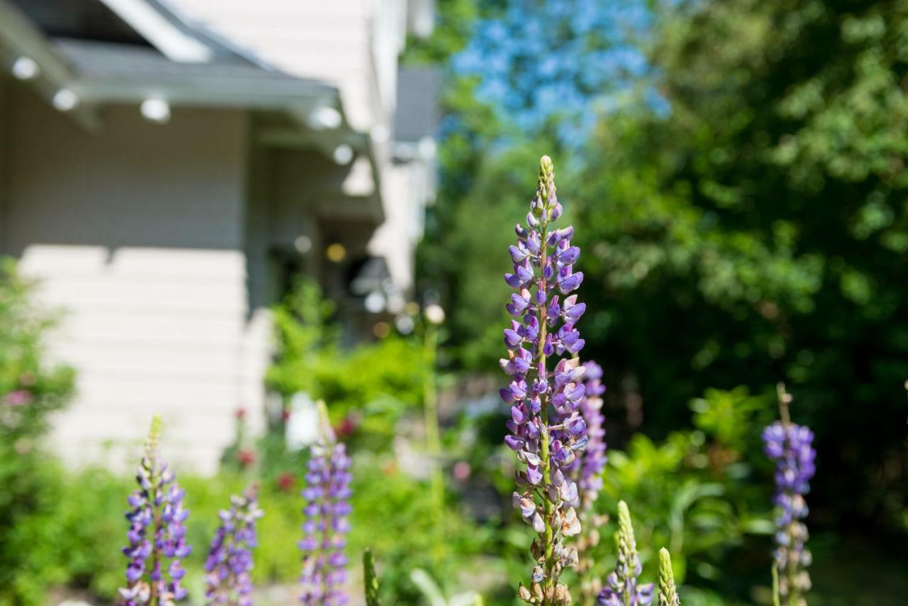 Chiltern Inn Bar Harbor Dış mekan fotoğraf
